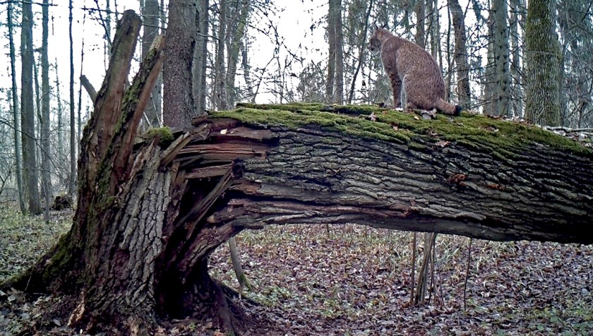 1627:111015:02C:CAMERA3   :7