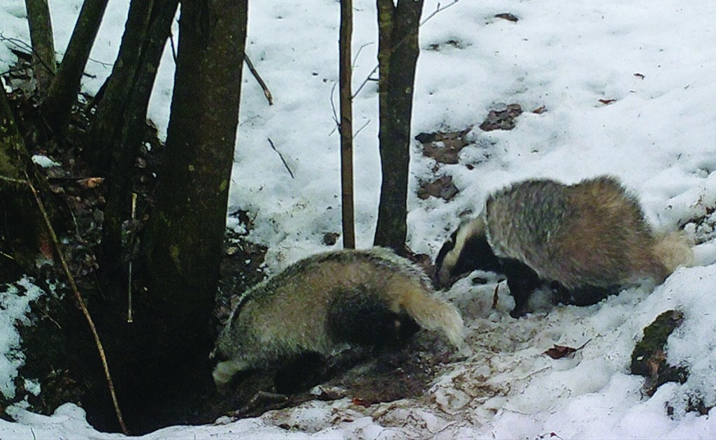 0513:022517:03C:2888:CAMERA1:7E[140:0076]G[008:0x0006]