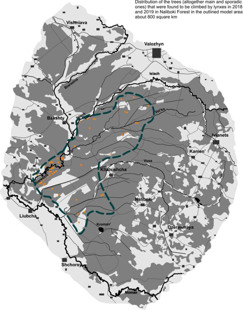 alltreesclimbedby-lynxes