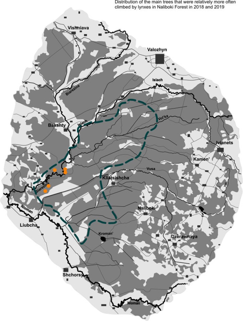 maintreesclimbedby-lynxes
