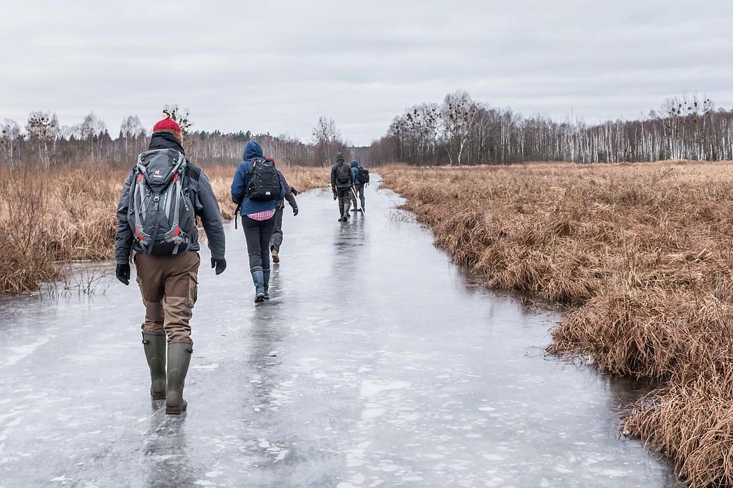 Wildlife trips on the way of our zoological study in Naliboki&nbsp;Forest